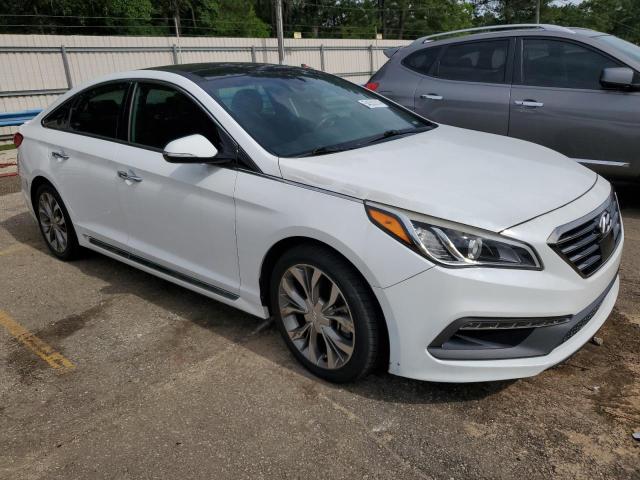 2015 Hyundai Sonata Sport VIN: 5NPE34AB9FH256296 Lot: 54552214