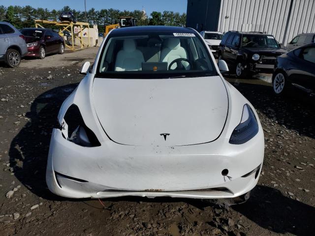 2023 TESLA MODEL Y - 7SAYGAEE3PF958542
