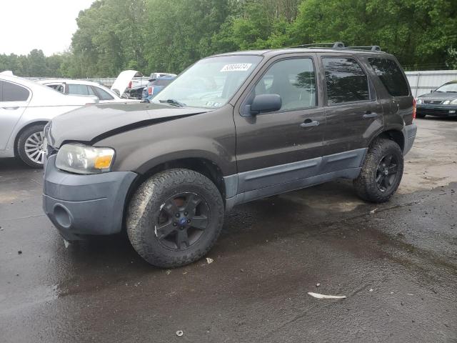 Lot #2532773842 2007 FORD ESCAPE XLT salvage car