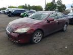 LEXUS ES 350 photo