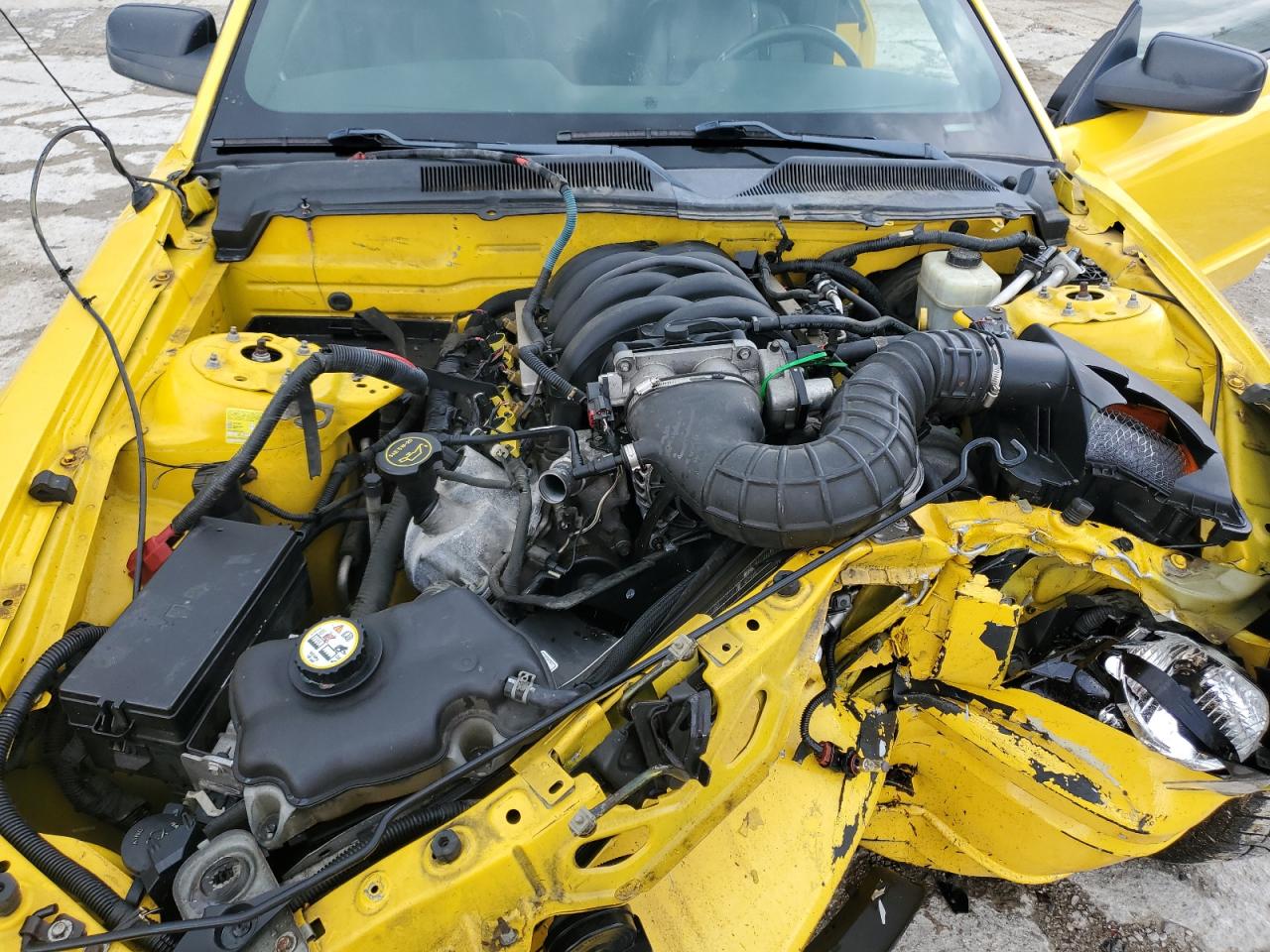 1ZVFT85H365266264 2006 Ford Mustang Gt