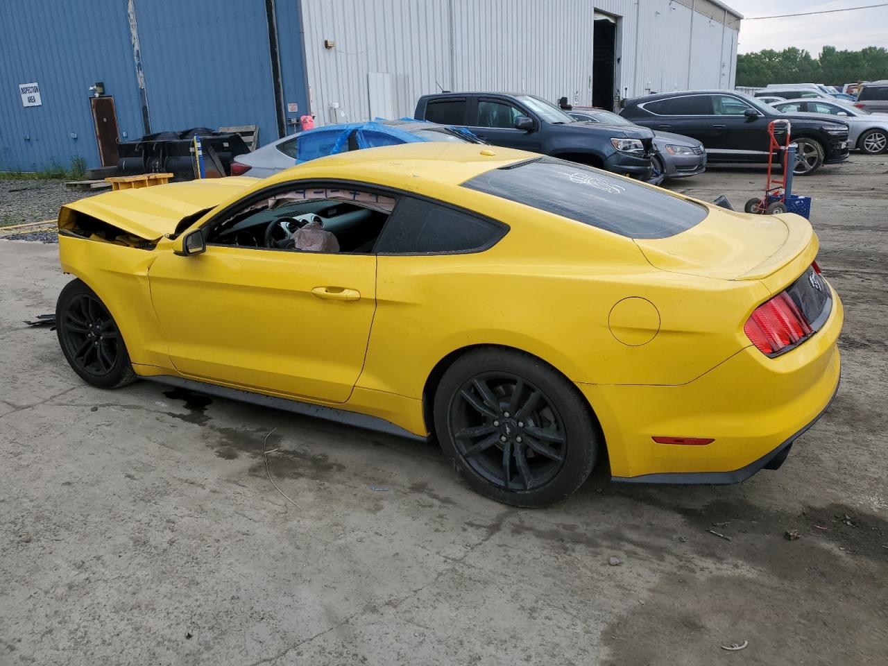 1FA6P8TH5H5205291 2017 Ford Mustang