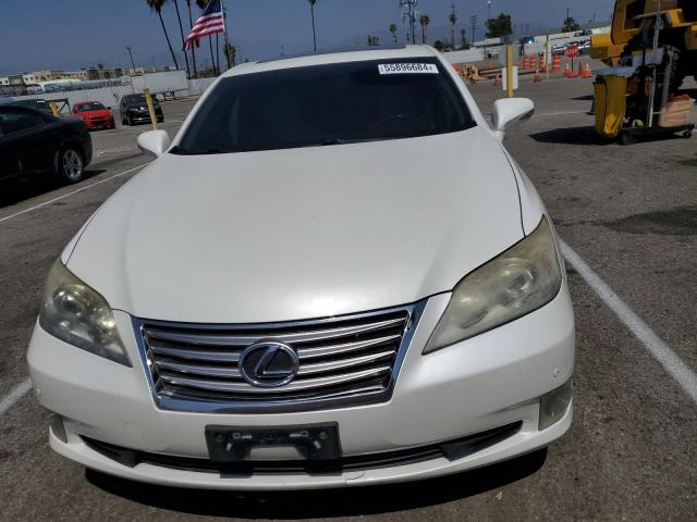 2010 Lexus Es 350 VIN: JTHBK1EG0A2404094 Lot: 55896684