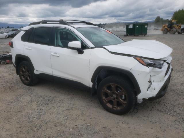 2023 TOYOTA RAV4 WOODL - 2T3UWRFVXPW152493