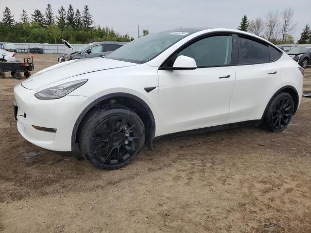 2023 Tesla Model Y VIN: 7SAYGDEE5PF585117 Lot: 54905784