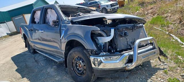 Vin: 1ftfw1e84pfc28345, lot: 54997194, ford f-150 supercrew 20234