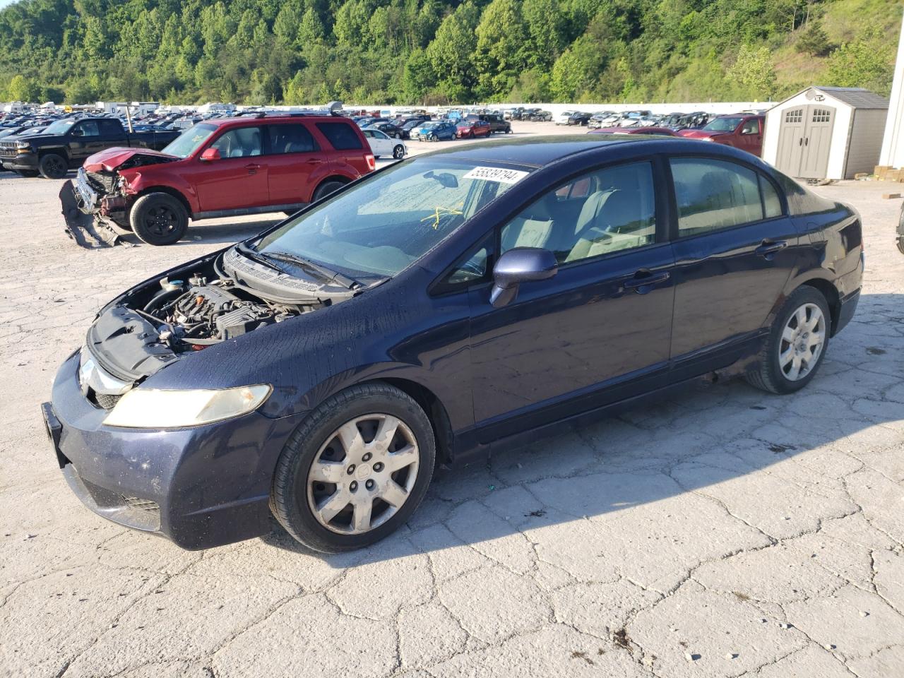 19XFA16559E041034 2009 Honda Civic Lx