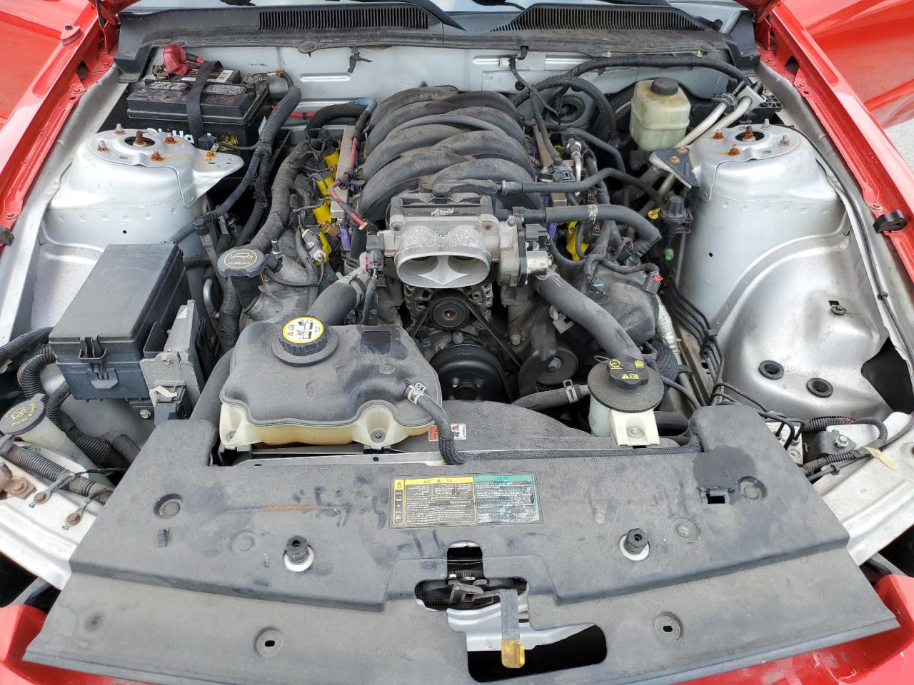 1ZVHT82H665128487 2006 Ford Mustang Gt