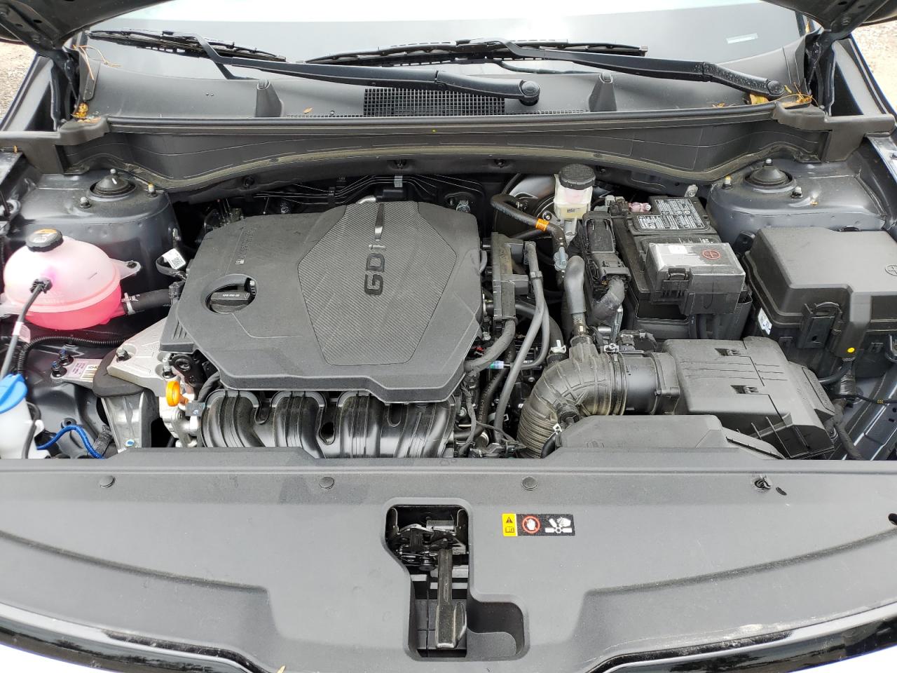 5XYK33DFXRG185665 2024 Kia Sportage Ex