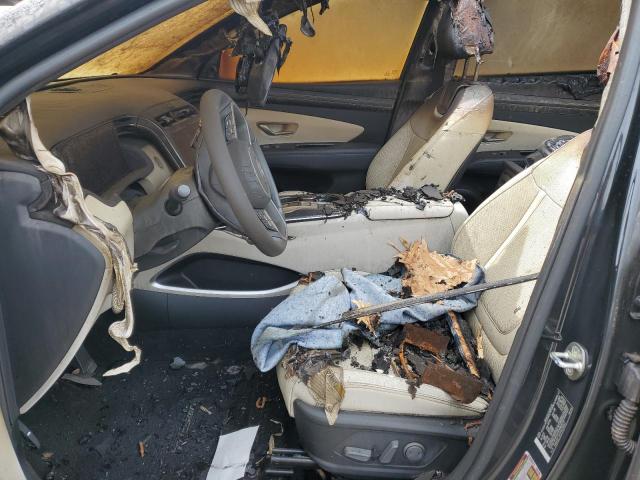 2023 Hyundai Tucson Limited VIN: 5NMJECAE1PH228262 Lot: 52393614