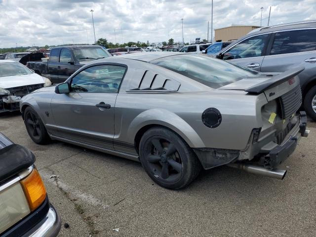 2009 Ford Mustang Gt VIN: 1ZVHT82H495126922 Lot: 56584254