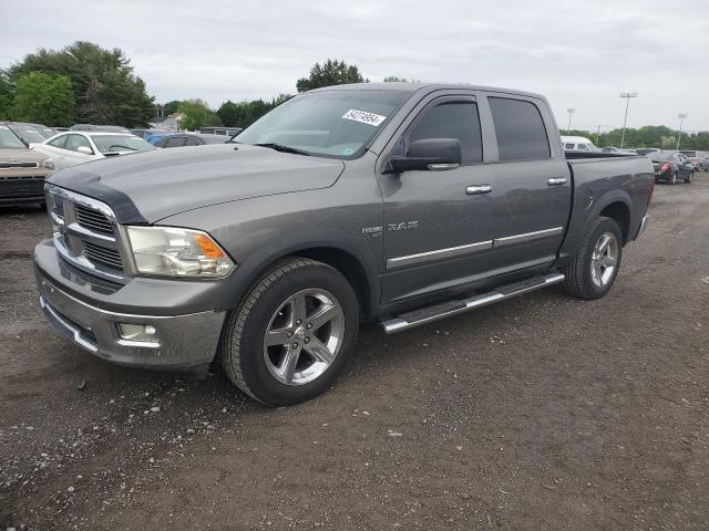 2010 Dodge Ram 1500 VIN: 1D7RV1CT0AS116315 Lot: 54274954