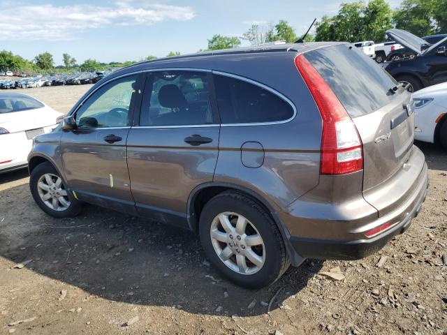 2011 Honda Cr-V Se VIN: 5J6RE4H4XBL003247 Lot: 56136814