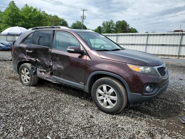 2011 Kia Sorento Base VIN: 5XYKTCA16BG187217 Lot: 55890694