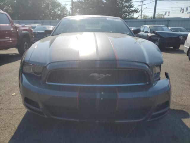 2014 Ford Mustang VIN: 1ZVBP8AM8E5254311 Lot: 54503944