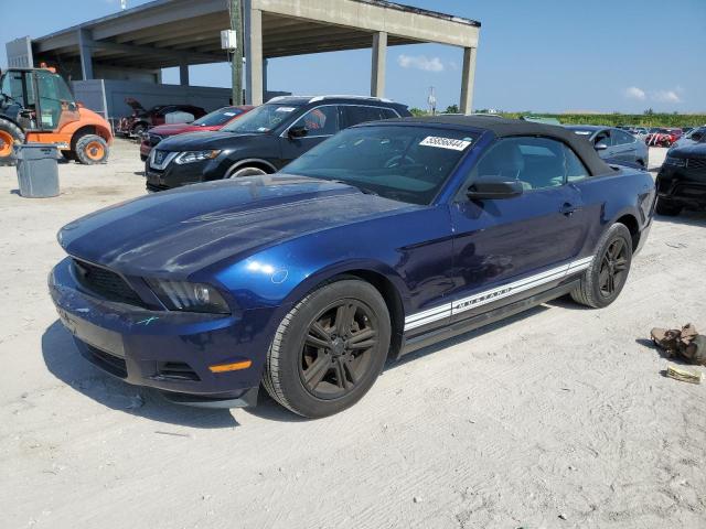 2010 Ford Mustang VIN: 1ZVBP8EN6A5174146 Lot: 55856844