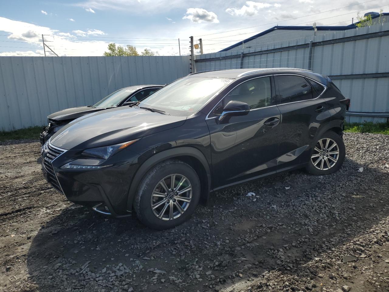 Lot #2989217698 2021 LEXUS NX 300 BAS