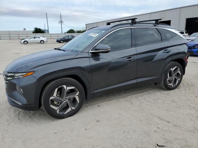 2023 Hyundai Tucson Limited VIN: 5NMJE3AE3PH182353 Lot: 56058764