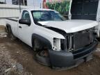 Lot #3024078626 2008 CHEVROLET 1500 SILVE