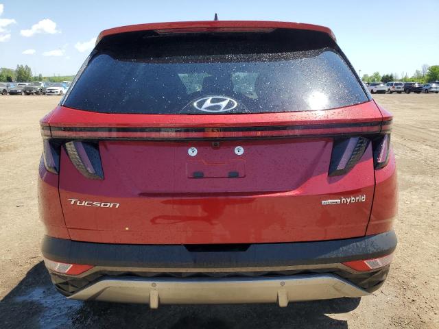 2023 Hyundai Tucson Luxury VIN: KM8JCCA19PU086234 Lot: 56192814