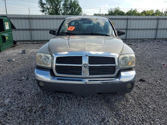 2005 Dodge Dakota Slt VIN: 1D7HE42N05S213018 Lot: 55549934