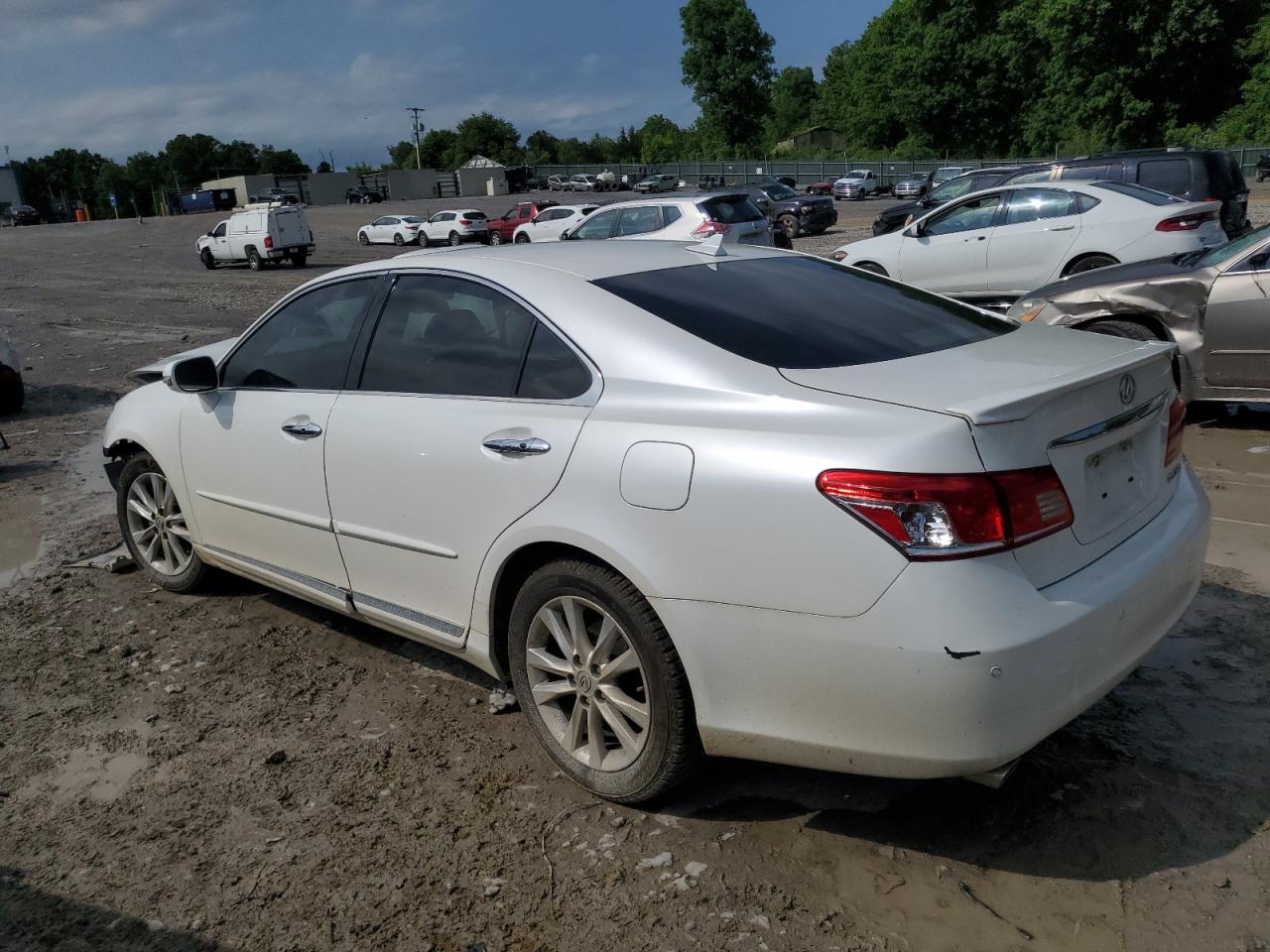 JTHBK1EG1B2446257 2011 Lexus Es 350