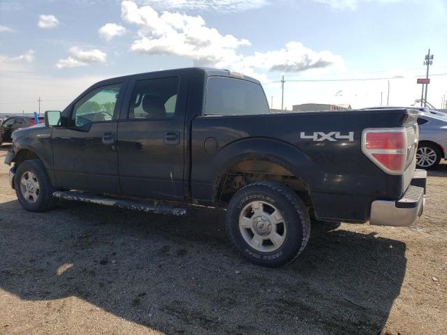 2010 Ford F150 Supercrew VIN: 1FTFW1EV6AKE64404 Lot: 55699124