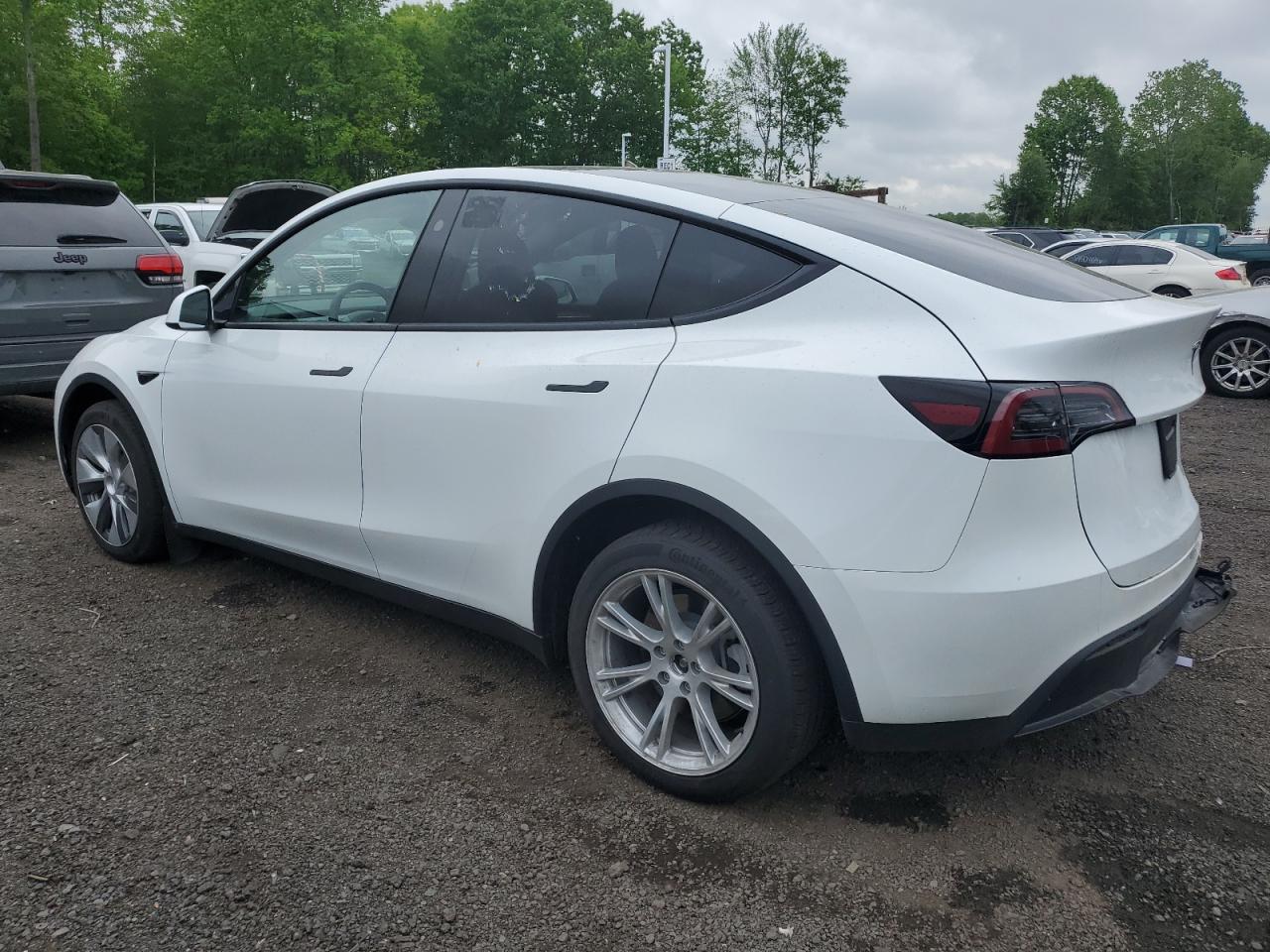 2023 Tesla Model Y vin: 7SAYGDEE3PF789947