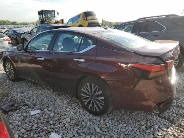 2023 Nissan Altima Sv VIN: 1N4BL4DV5PN381554 Lot: 54260174