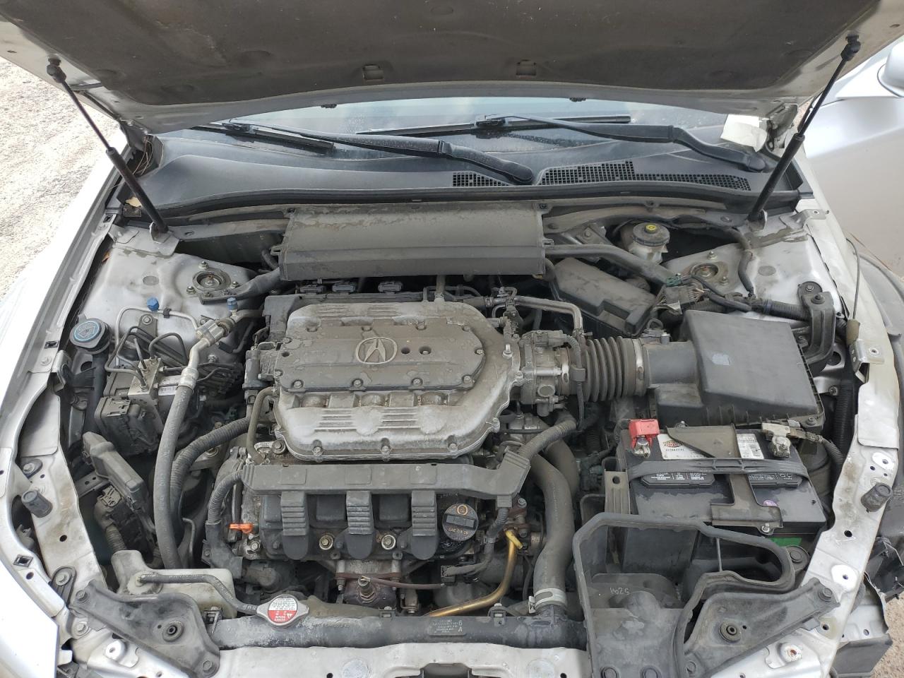 19UUA8F26DA012189 2013 Acura Tl