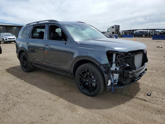 2024 Kia Telluride Sx VIN: 5XYP5DGCXRG441407 Lot: 53669654