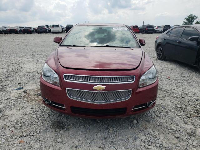 2008 Chevrolet Malibu Ltz VIN: 1G1ZK57708F171981 Lot: 56203724