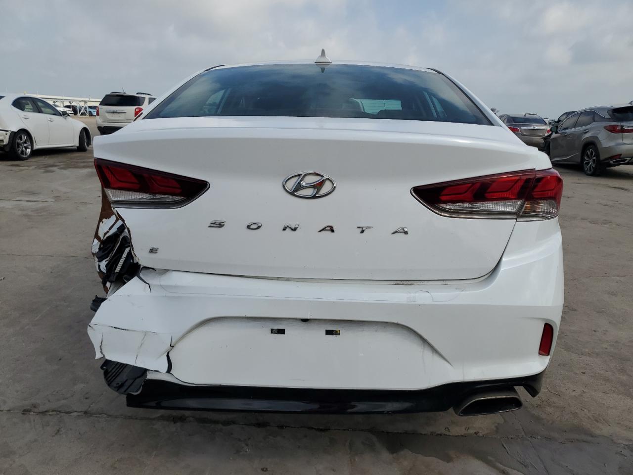 5NPE24AF8KH756448 2019 Hyundai Sonata Se