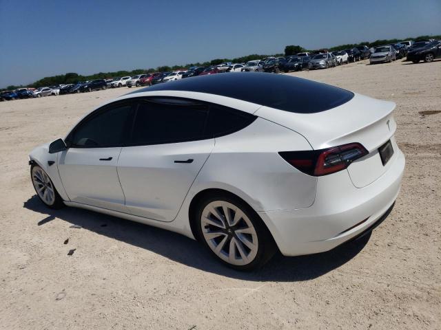 2023 Tesla Model 3 VIN: 5YJ3E1EA0PF415076 Lot: 54949774