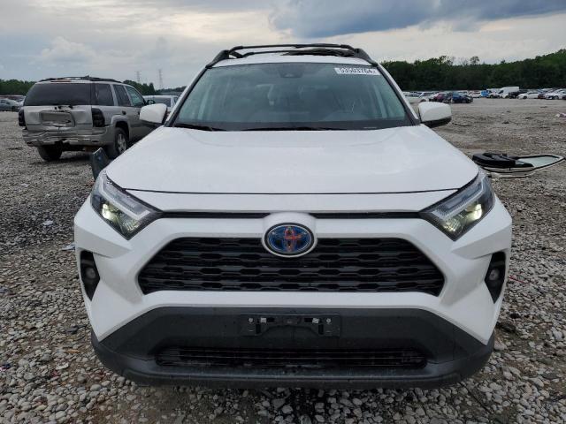 2023 TOYOTA RAV4 WOODL 2T3UWRFV9PW172668