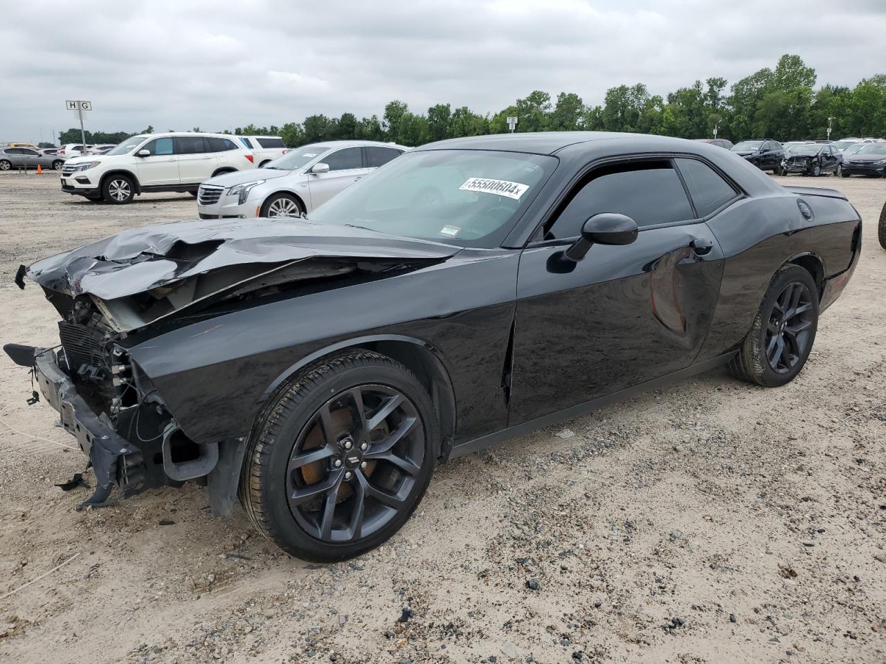 2C3CDZAG0KH501765 2019 Dodge Challenger Sxt