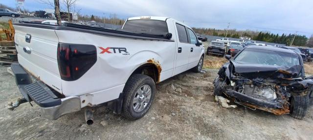 2011 Ford F150 Supercrew VIN: 1FTFW1EF2BFC97266 Lot: 53658934