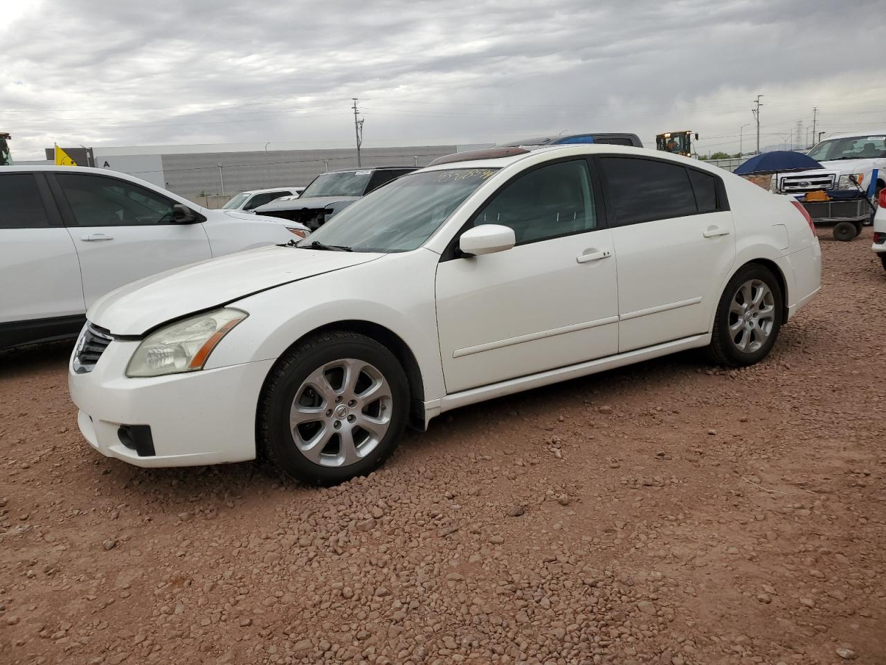 1N4BA41E58C809307 2008 Nissan Maxima Se