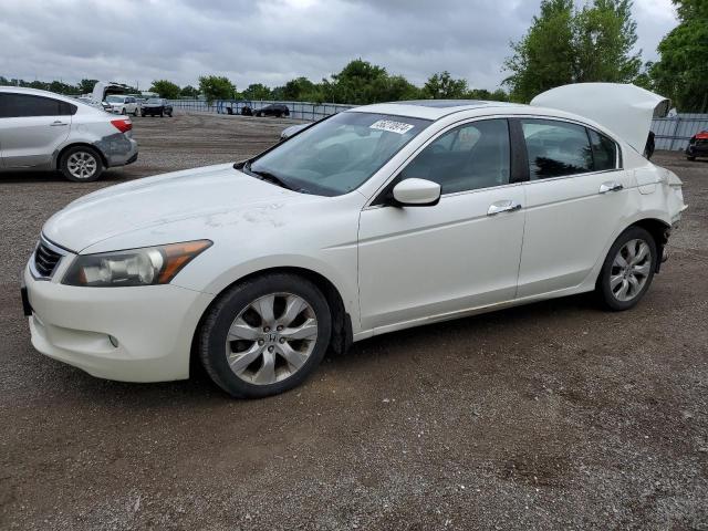 2008 Honda Accord Exl VIN: 1HGCP36868A803247 Lot: 56270974