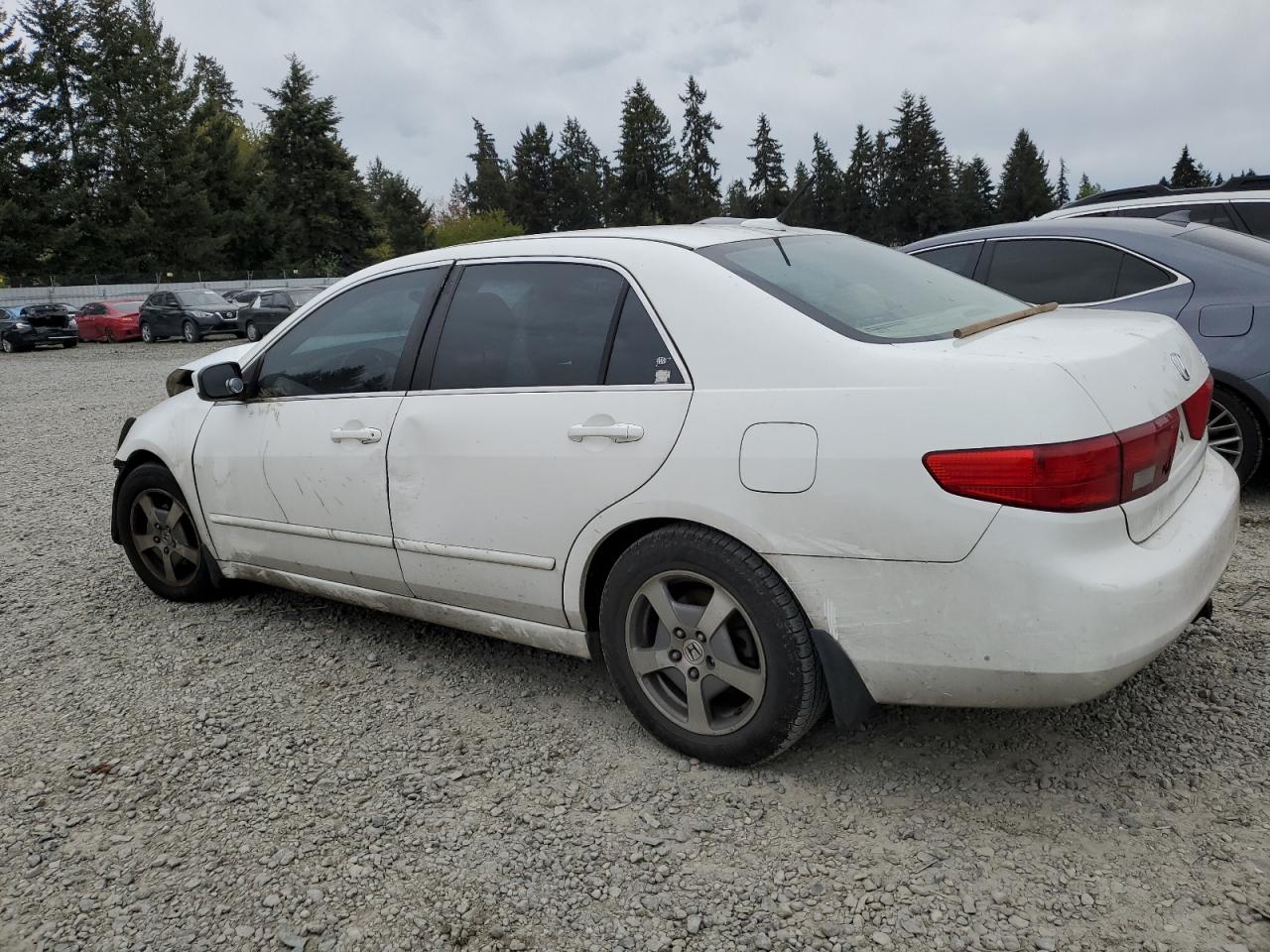 JHMCN36485C010774 2005 Honda Accord Hybrid