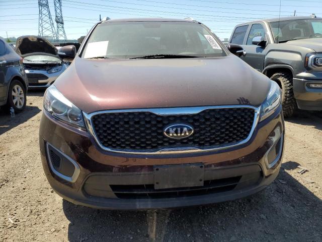 2016 Kia Sorento Lx VIN: 5XYPGDA53GG073699 Lot: 56598864