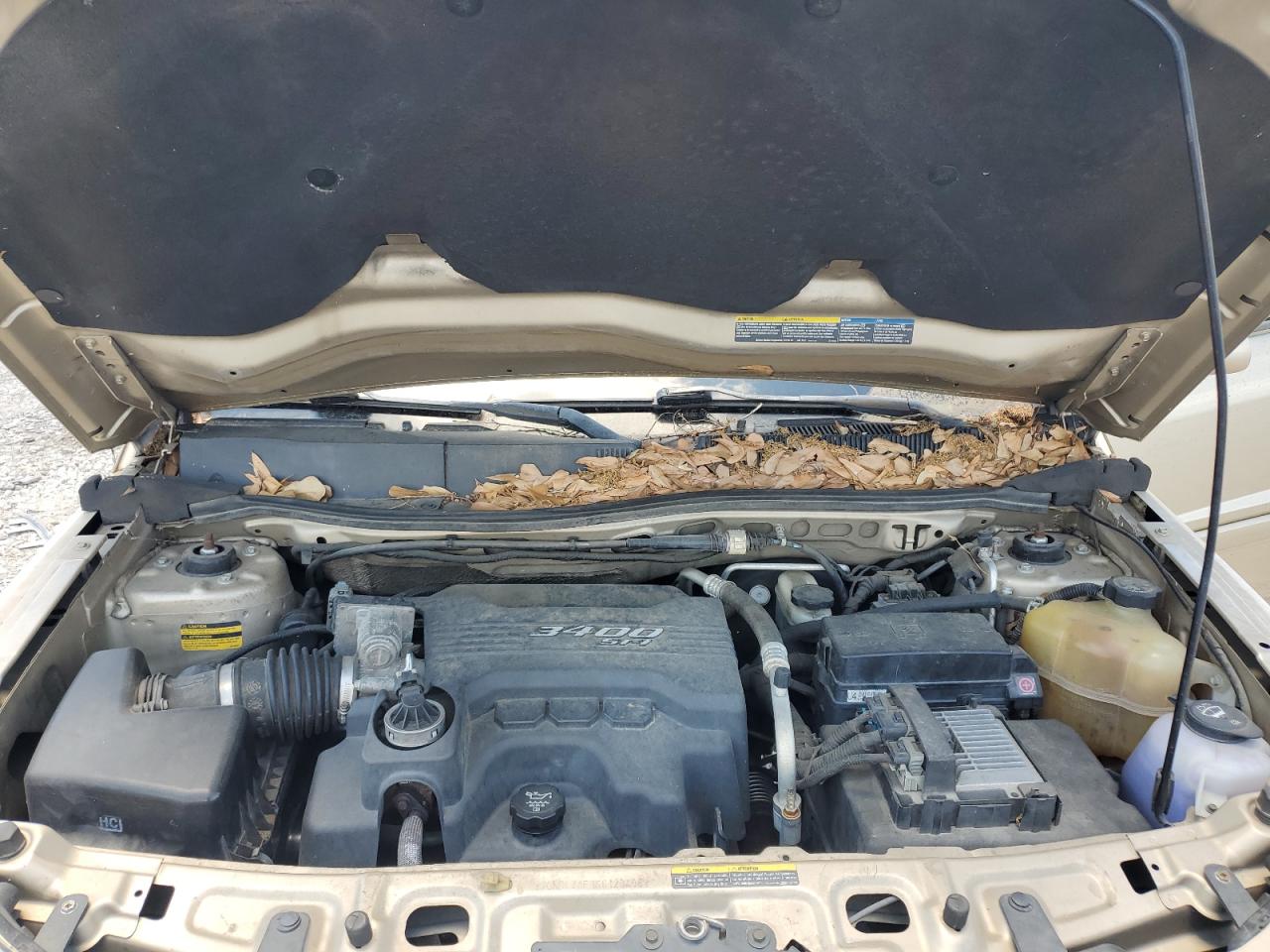 2CNDL73F366120498 2006 Chevrolet Equinox Lt