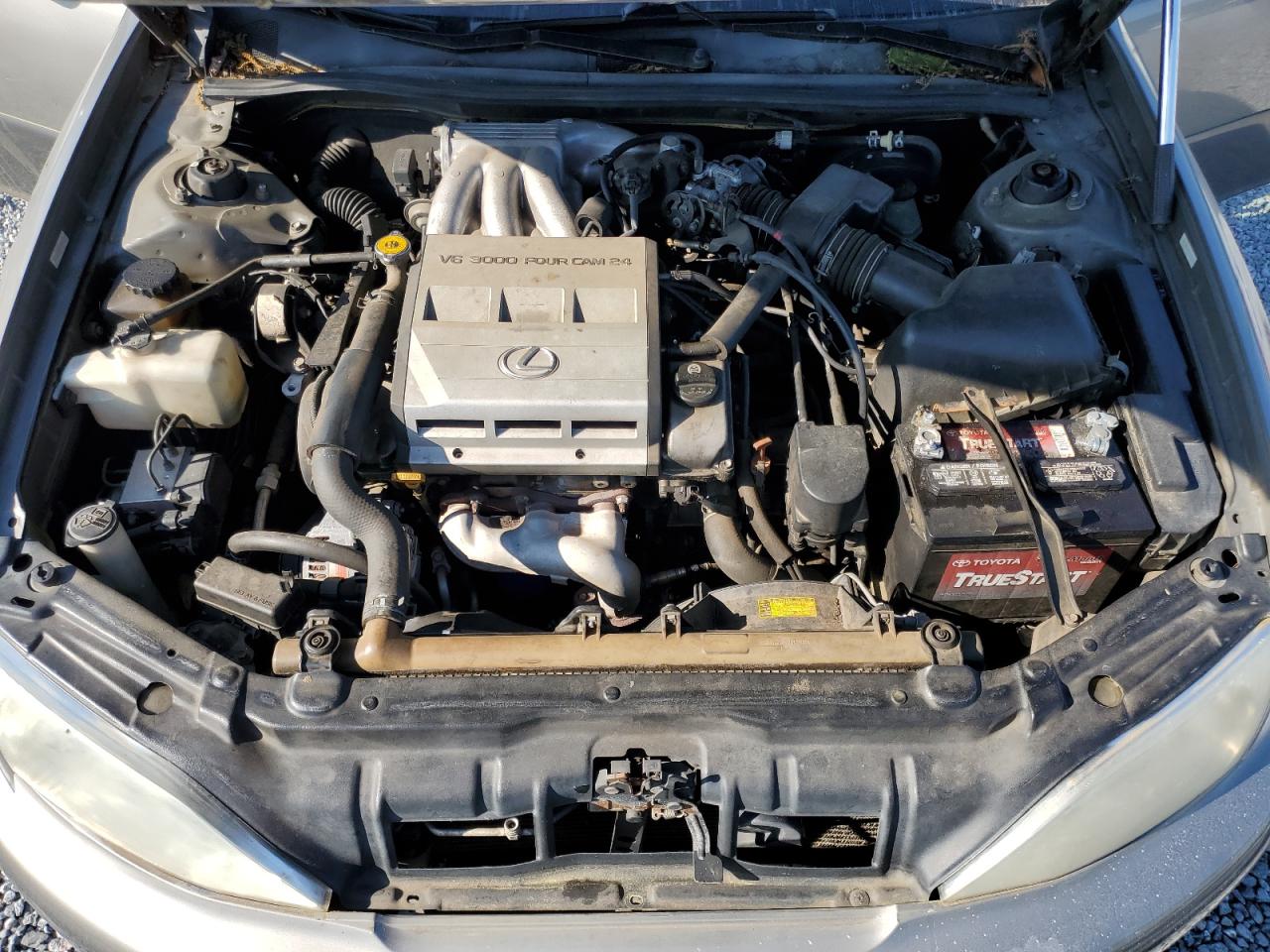 JT8BF28GXW5028855 1998 Lexus Es 300