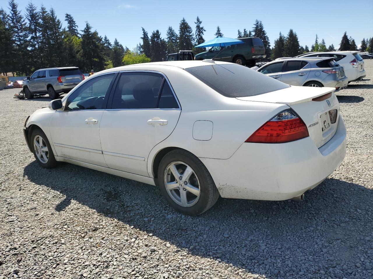 JHMCN36467C001042 2007 Honda Accord Hybrid