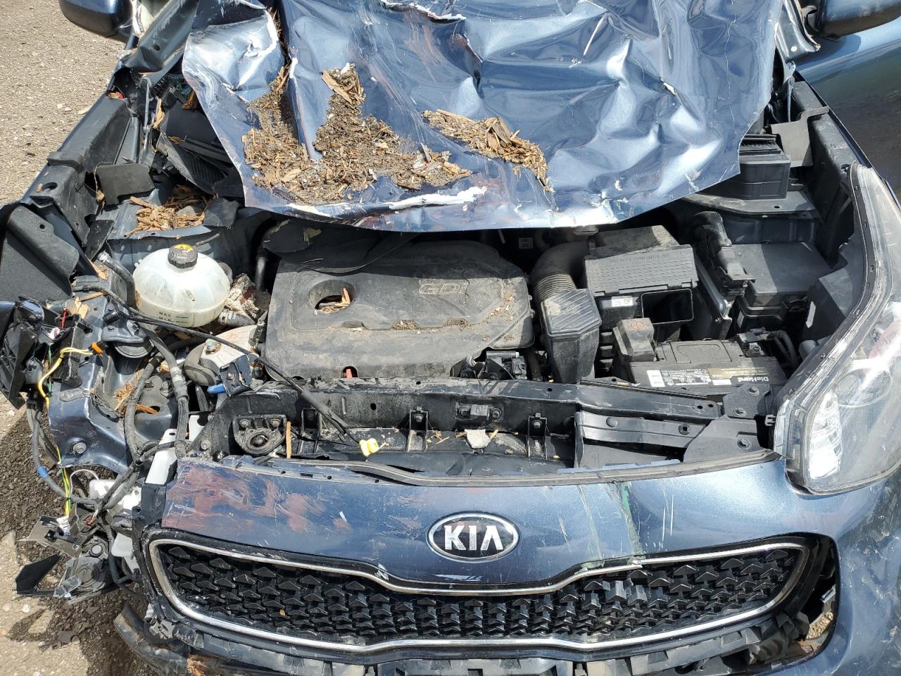 KNDPMCAC0J7445022 2018 Kia Sportage Lx