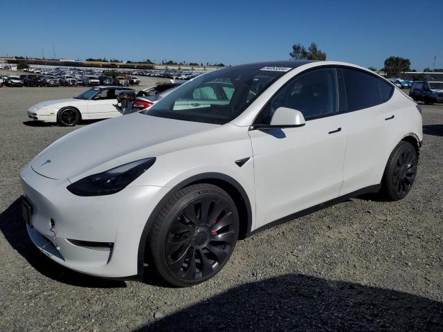 2022 Tesla Model Y VIN: 7SAYGDEF8NF408504 Lot: 54055564