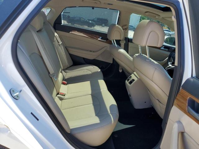 2015 Hyundai Sonata Sport VIN: 5NPE34AF7FH241234 Lot: 55142744