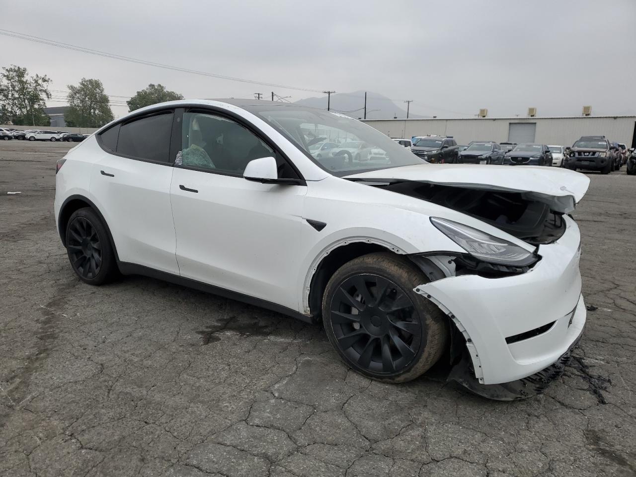 Lot #3028473923 2023 TESLA MODEL Y