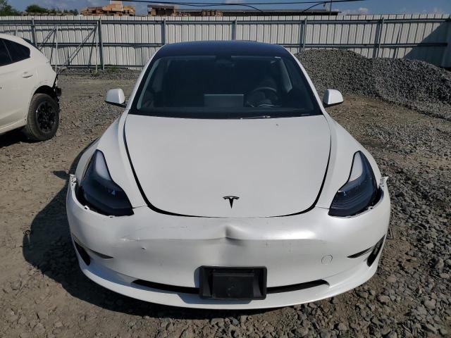 2023 Tesla Model 3 VIN: 5YJ3E1EA3PF491701 Lot: 55806944