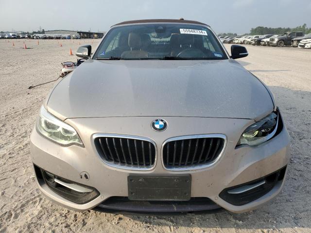 2015 BMW 228 I VIN: WBA1K5C59FV242670 Lot: 55948734